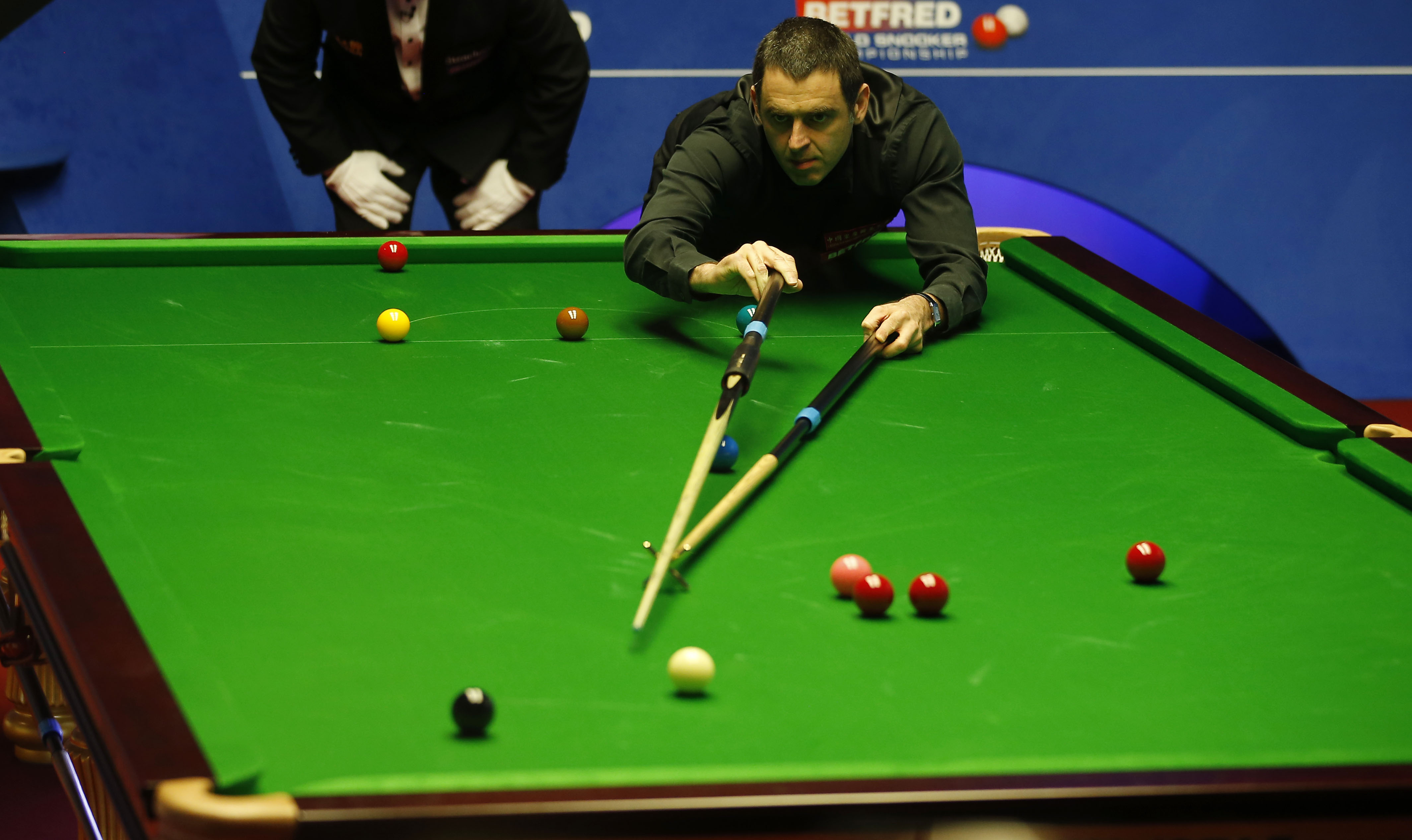 组合带来极 组合带来极