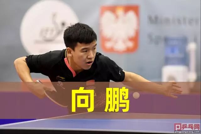 蒂不出场就 蒂不出场就